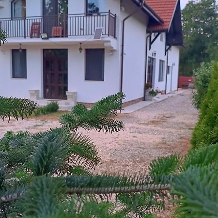 Pensiunea Cretisoara Cîmpulung Exterior foto