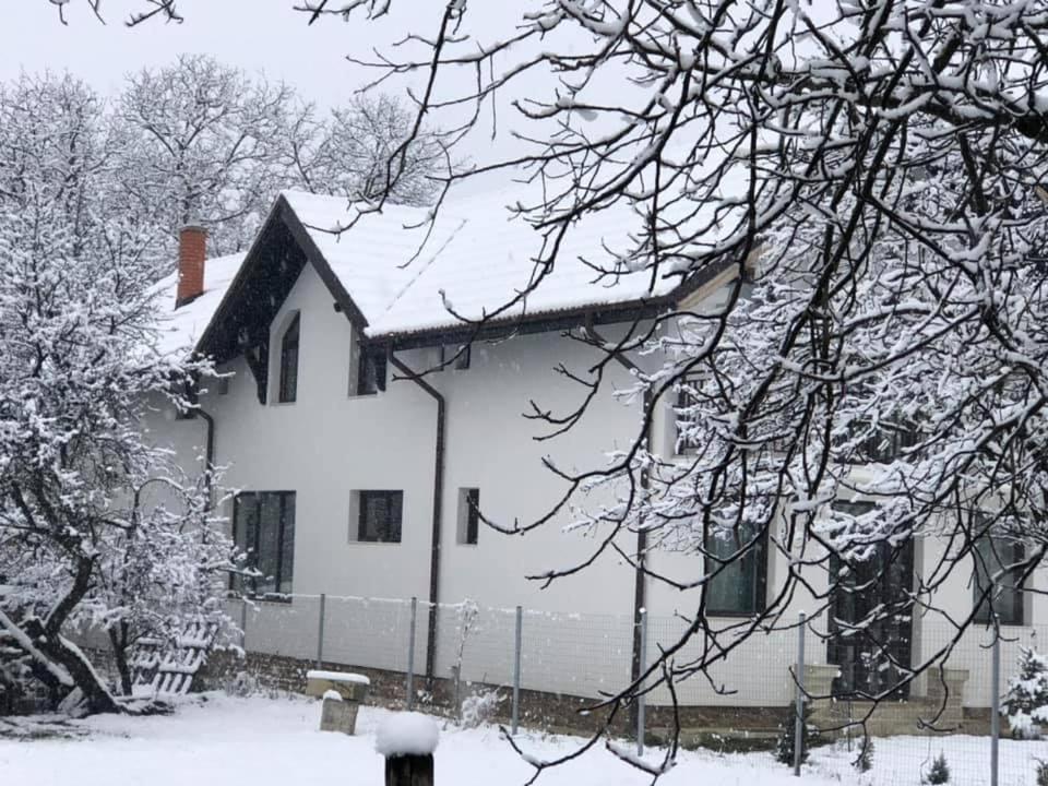 Pensiunea Cretisoara Cîmpulung Exterior foto